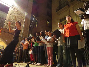 Diada Nacional 2014. La Marxa de Torxes