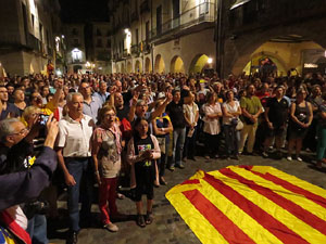 Diada Nacional 2014. La Marxa de Torxes
