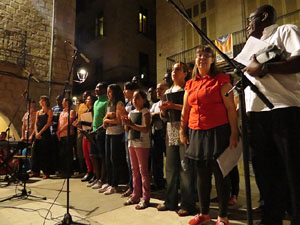 Diada Nacional 2014. La Marxa de Torxes