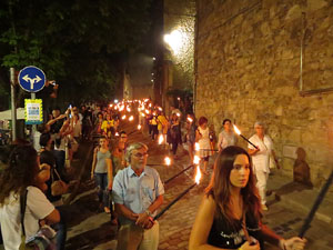Diada Nacional 2014. La Marxa de Torxes