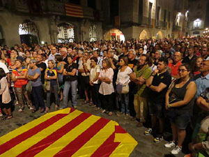Diada Nacional 2014. La Marxa de Torxes