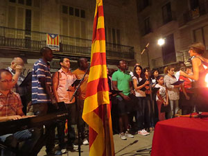 Diada Nacional 2014. La Marxa de Torxes