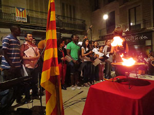 Diada Nacional 2014. La Marxa de Torxes