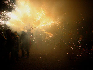 Fires de Sant Narc&iacute;s 2013. El correfoc. 25 anys dels Diables de l'Onyar