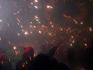 Fires de Sant Narcís 2013. El correfoc. 25 anys dels Diables de l'Onyar