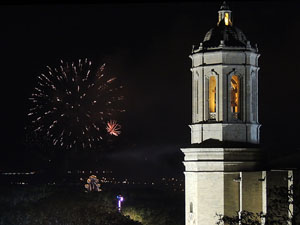 Fires de Sant Narcís 2013. Castell de focs artificials