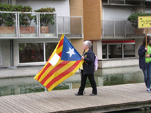 Fires de Sant Narcís 2013. Trobada de gegants: la cercavila