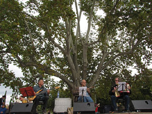 Fires de Sant Narc&iacute;s 2013. Trobada de gegants: la ballada