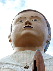 Fires de Sant Narc&iacute;s 2013. Trobada de gegants