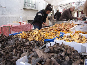Fires de Sant Narc&iacute;s 2013. La Fira de Tots Sants