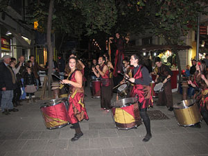 Fires de Sant Narcís 2013.