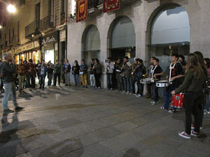 Fires de Sant Narcís 2013.