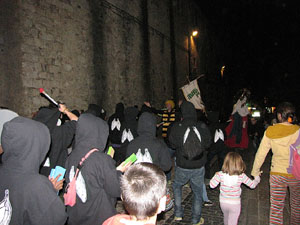 Fires de Sant Narcís 2013.