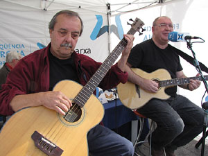 Fires de Sant Narcís 2013.