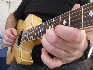 Fires de Sant Narcís 2013.