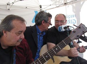 Fires de Sant Narcís 2013.