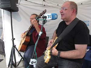 Fires de Sant Narcís 2013.