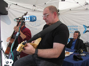 Fires de Sant Narcís 2013.