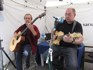 Fires de Sant Narcís 2013.