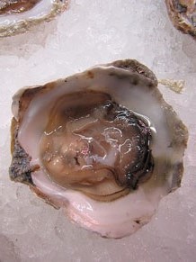 Girona10. Mercat del Lle&oacute;. Tastets gastron&ograve;mics