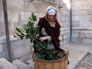 Exposició La Girona Medieval al Museu d'Història de la Ciutat.