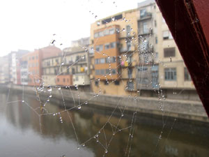 Festes de Nadal 2013.