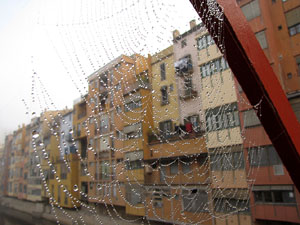 Festes de Nadal 2013.