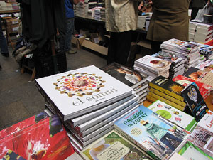 Sant Jordi 2014 a Girona