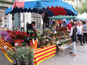 Sant Jordi 2014 a Girona