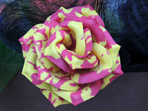 Sant Jordi 2014 a Girona