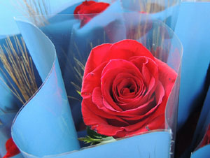 Sant Jordi 2014 a Girona