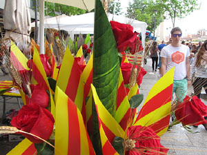 Sant Jordi 2014 a Girona