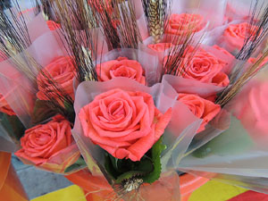 Sant Jordi 2014 a Girona