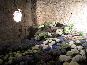 Girona Temps de Flors 2014. Preparaci&oacute; dels muntatges florals