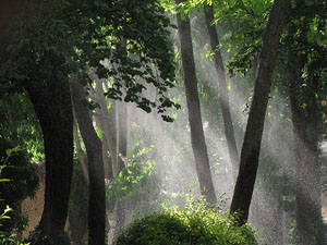 Girona Temps de Flors 2014. Preparaci&oacute; dels muntatges florals