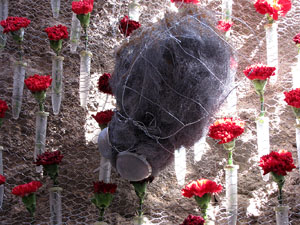 Girona Temps de Flors 2014. Carrer de C&uacute;ndaro