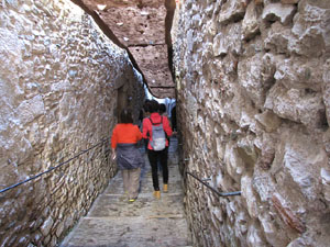 Girona Temps de Flors 2014. Carrer de Sant Lloren&ccedil;