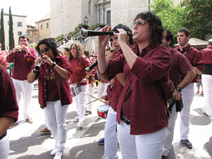 Girona Temps de Flors 2014. Jornada castellera