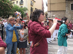 Girona Temps de Flors 2014. Jornada castellera