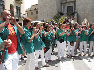 Girona Temps de Flors 2014. Jornada castellera