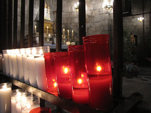 Girona Temps de Flors 2014. L'esgl&eacute;sia de Sant Feliu