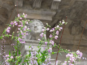 Girona Temps de Flors 2014. L'esgl&eacute;sia de Sant Feliu