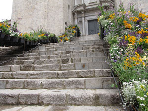 Girona Temps de Flors 2014. L'esgl&eacute;sia de Sant Feliu
