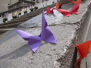 Girona Temps de Flors 2014. Les escales de la Catedral