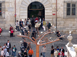 Girona Temps de Flors 2014. Les escales de la Catedral