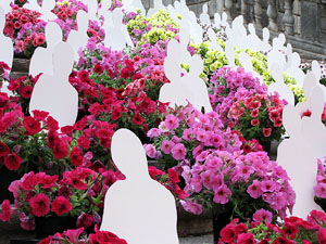 Girona Temps de Flors 2014. Les escales de la Catedral