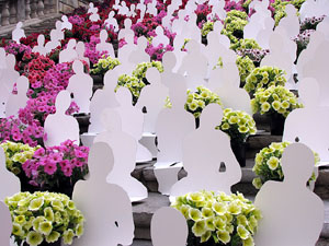 Girona Temps de Flors 2014. Les escales de la Catedral