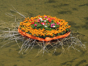 Girona Temps de Flors 2014. L'Onyar i els ponts