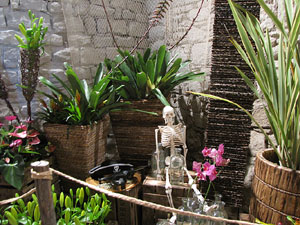 Girona Temps de Flors 2014. Els soterranis de la Catedral