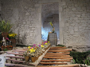 Girona Temps de Flors 2014. Els soterranis de la Catedral